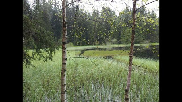 Mantra - Ad Guray Nameh смотреть онлайн