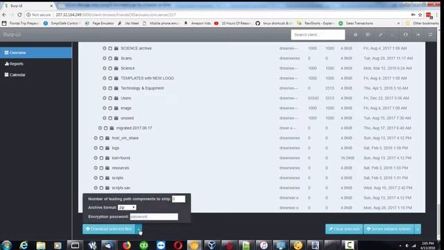 Burp UI zipped files fail смотреть онлайн