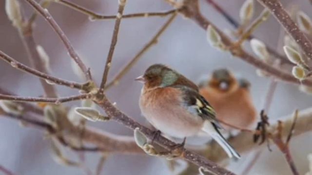 amd ryzen threadripper 3960x vs 5950x|amd ryzen threadripper 3960x price in india смотреть онлайн