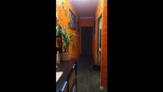 Продам 2-ух к. кв. 47м г.Пушкино поселок Акулово улица Мира 10 смотреть онлайн