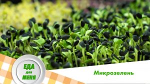 Микрозелень | Еда для меня