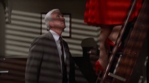 К/Ф Голый пистолет отличный бобрик