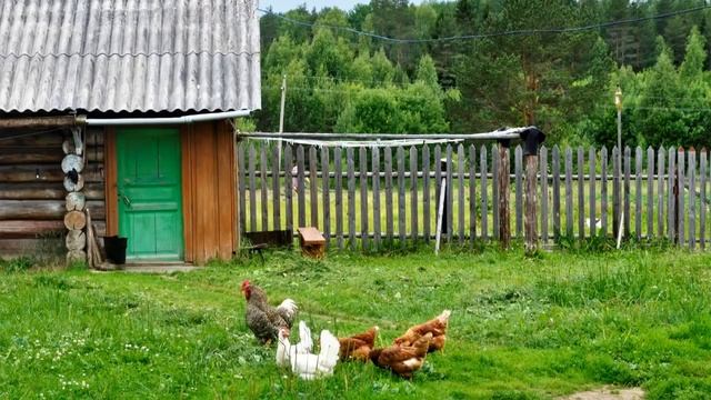 Галина. подслушивая под забором, прошептала - Глупая значит? Посмотрим, кто будет последним смеятьс