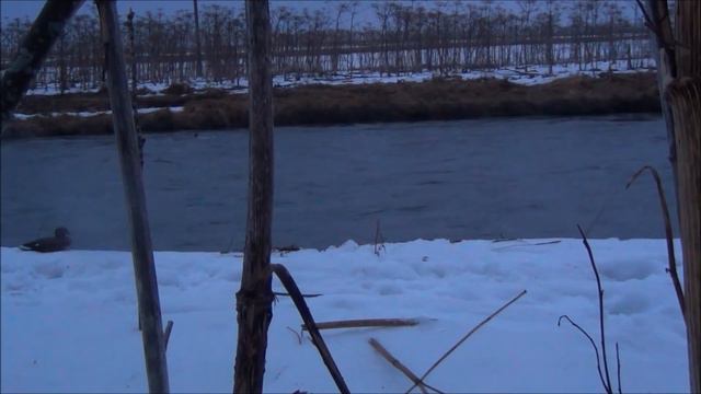 присада и сплав смотреть онлайн