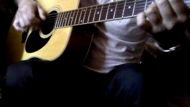 12 strings acoustic guitar Hohner HW-12 смотреть онлайн