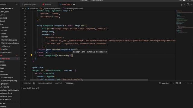 Stripe Payment Gateway In Flutter 2023 смотреть онлайн