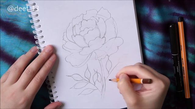 HOW TO DRAW PEONY / КАК НАРИСОВАТЬ ПИОН (ВКЛЮЧИ СУБТИТРЫ) смотреть онлайн