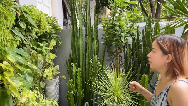 GARDEN WALL & PLANTS UPDATE || Roma So смотреть онлайн