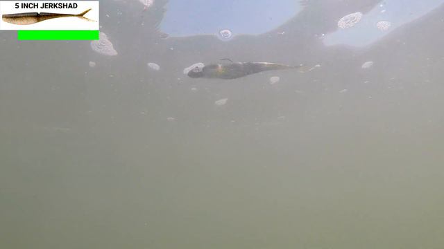 DAIWA BAIT JUNKIE Full Review смотреть онлайн