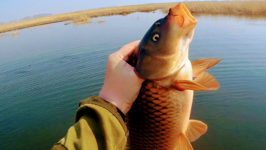 Рыбалка на паук! Весенняя рыбалка на малых Сибирских реках!