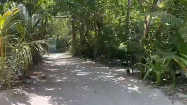 MALDIVES TRIP | Honeymoon in Maldives | Budget and Planning | Coco Bodu Hithi Resort | Subhi S смотреть онлайн