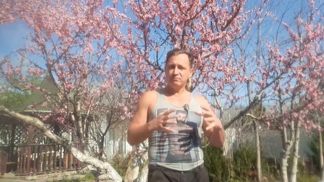 Новая позитивная психология: научный взгляд на счастье и смысл жизни. Мартин Селигман смотреть онлайн