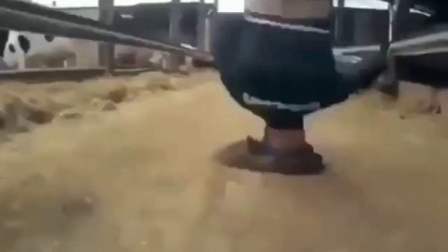 Мужик крутится головой на большой какахе смотреть онлайн