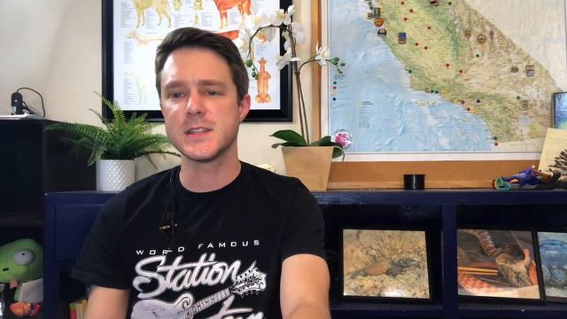Bioactive Mourning Gecko Setup Part I: DIY Wooden Vivarium смотреть онлайн