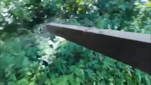 безпроблемная дойка козы смотреть онлайн