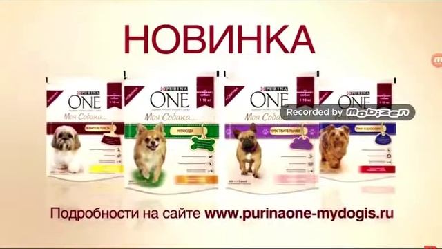Реклама Purina one Моя Собака сухой и мокрий корм для маленьких собак? смотреть онлайн