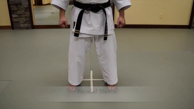 Basic Stances смотреть онлайн