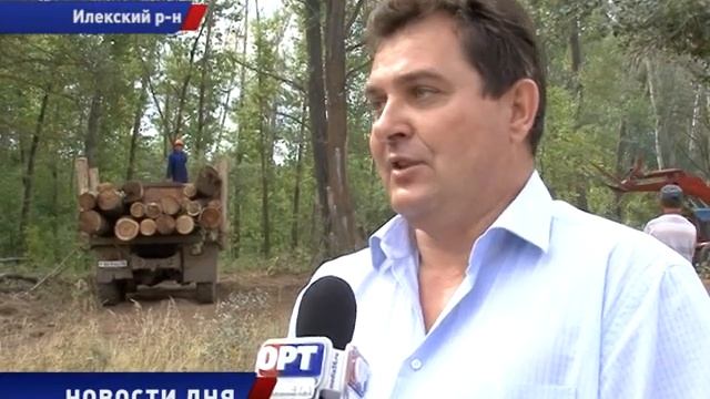 Вырубка леса по правилам смотреть онлайн