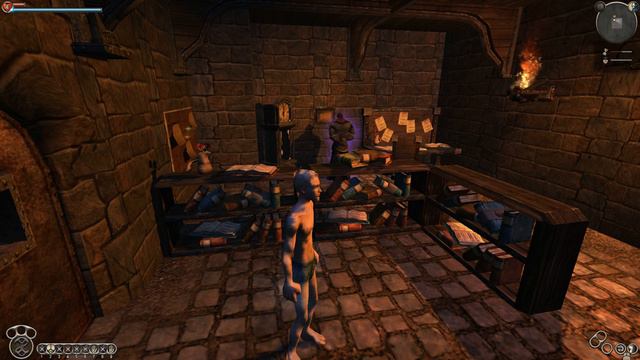 Fable TLC: второй стих надзирателя тюрьмы смотреть онлайн