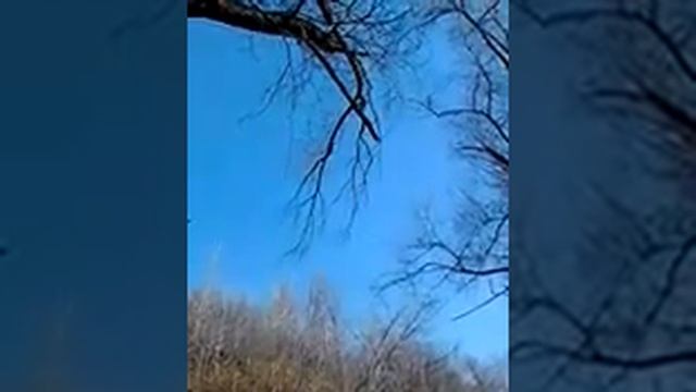 Год со знаками Цзя-У. Юг московских земель. Коломенское. смотреть онлайн