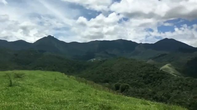 Рысь в благодарность вступилась за егеря. Интересная история из жизни животных. смотреть онлайн