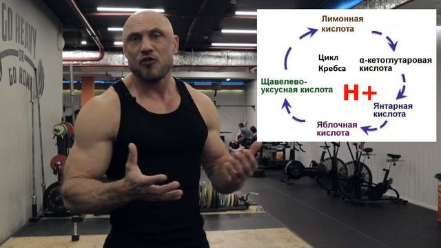 Основы фитнеса для всех