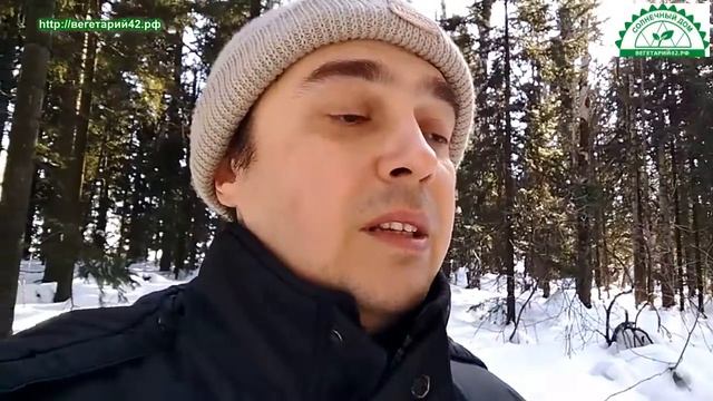 СБВ42-4 Покупка сотового поликарбоната смотреть онлайн