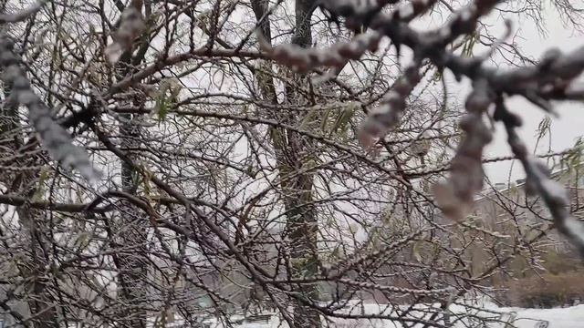 Ледяной дождь в Санкт-Петербурге