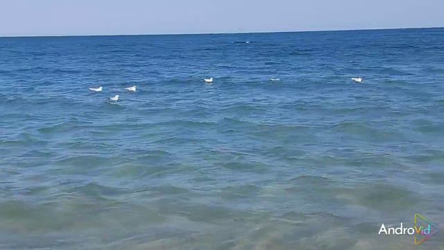 Одесса, море, пляж , обстановка на побережье 🌴 18 июля 2023 смотреть онлайн