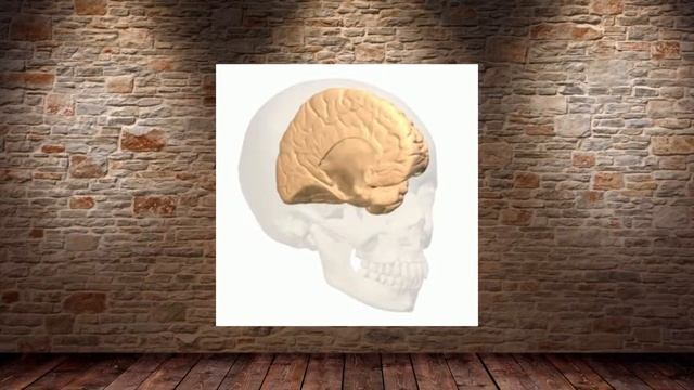 Эффект Дежавю. ЧТО? ЗАЧЕМ? ПОЧЕМУ? смотреть онлайн