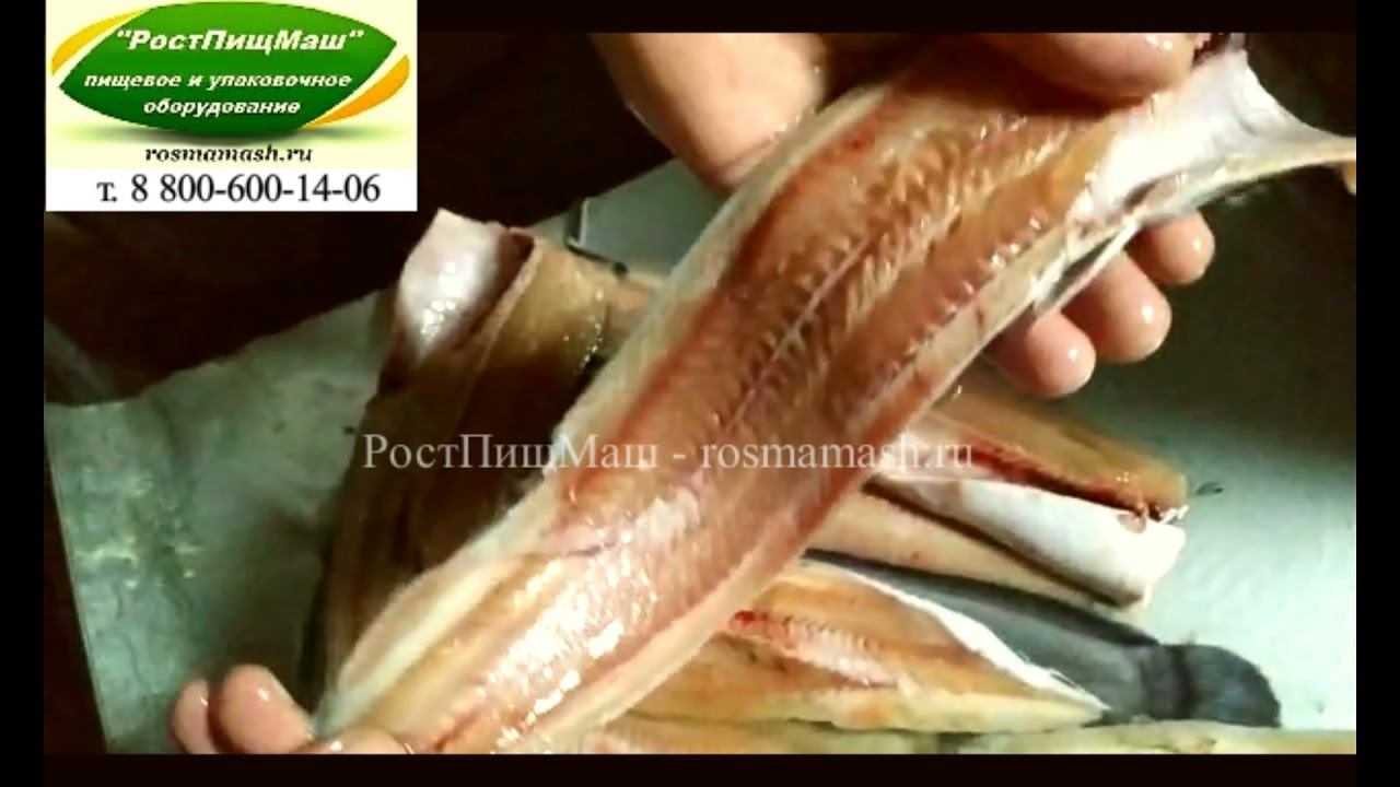 Обзор работы машины А8-ИФ4-Р от РостПищМаш смотреть онлайн