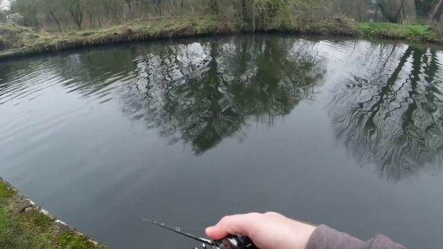 The Cheb Rig - BFS fishing for Big Chub and Perch смотреть онлайн