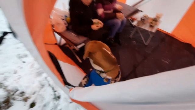 Рыбалка, Бигль, шашлыки, с палаткой ARGO куб 2,20 С теплообменником "Десна " смотреть онлайн