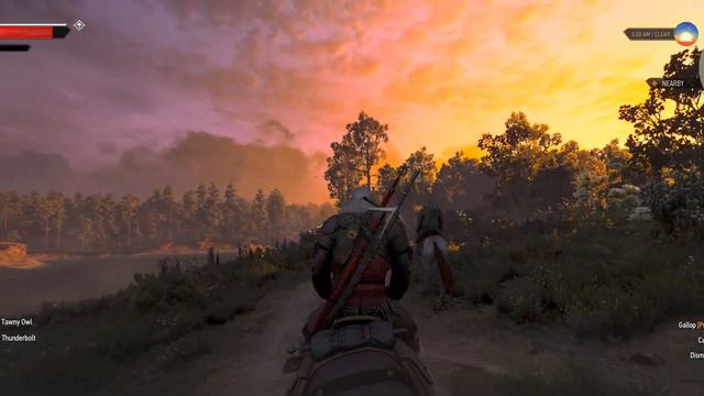 The Witcher 3 | PC Ultimate | Heavily Modded | 4K HDR with Windows 10 new Auto-HDR function смотреть онлайн