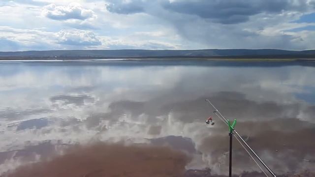 Классно! Едем на летнюю рыбалку смотреть онлайн