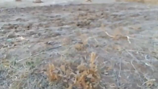 який потрібен інструмент щоб обробити город від 10 соток.... смотреть онлайн