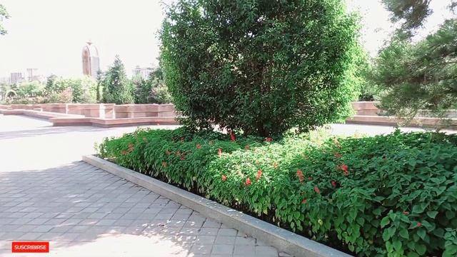 ДУШАНБЕ СОМОНИ СЕ БИНОИ НАВ смотреть онлайн