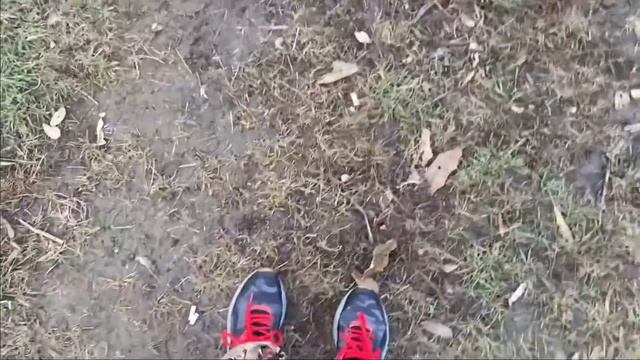Французский бульдог Сэм помогает жарить новогодний шашлык смотреть онлайн
