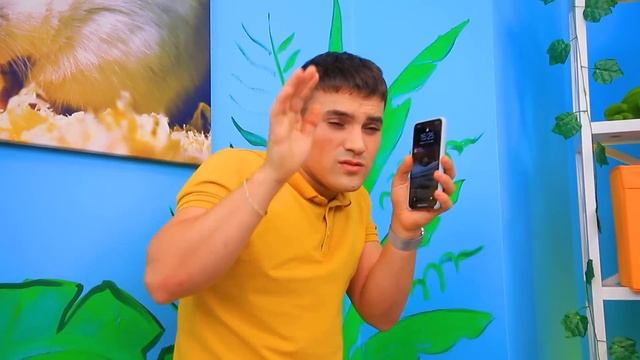 Строим дом - лабиринт для хомяка и кролика! Секретный домик для животных смотреть онлайн