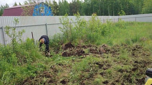 Наша КОШКА превратилась в КОТОПЁСА ? Сажаем КАРТОШКУ-СИНЕГЛАЗКУ ? смотреть онлайн