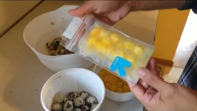 Quail Chronicles Episode 9: Cooking With Quail Eggs Tips & Tricks