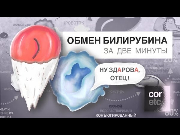 Обмен билирубина за две минуты