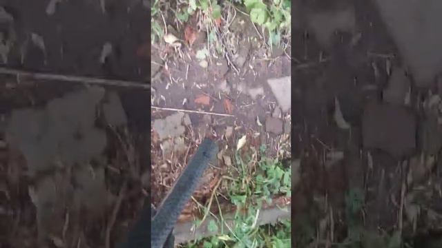 9 августа 2022 г. смотреть онлайн