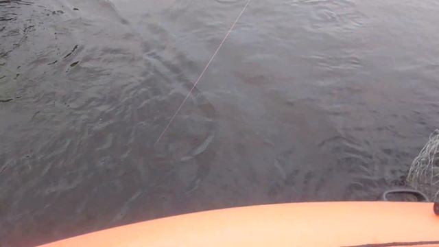 Кижуч северной реки Вал. Окончание. смотреть онлайн