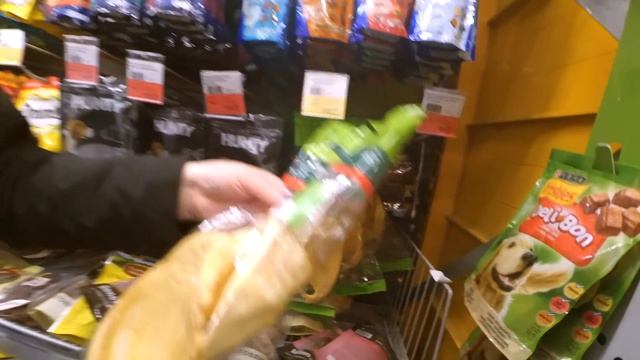 Щенкам шпица 67 дней. Ушной клещ – бонус от питомника! Милая Певунья. Бабушка Оливия, беги смотреть онлайн