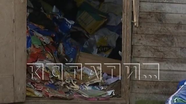Исчезнувший «концлагерь» - «черная заводчица» спрятала сотню умирающих собак смотреть онлайн