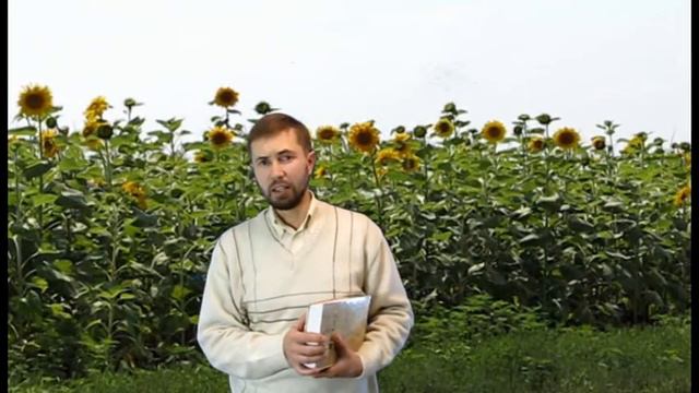 Семинар-Семь законов сеянья и жатвы. Вступление смотреть онлайн