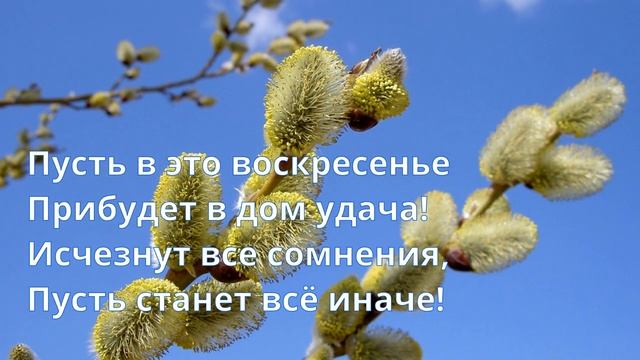 С Вербным воскресеньм! Вербное воскресенье! Поздравляю с праздником! Верба Тепло Весна смотреть онлайн