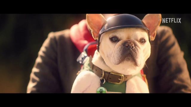 Family Switch Трейлер смотреть онлайн