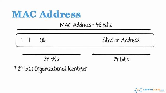 03 10base2, MAC addresses, смотреть онлайн